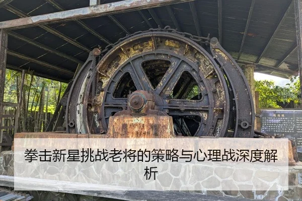 拳击新星挑战老将的策略与心理战深度解析